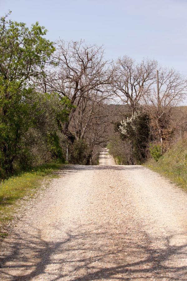 Pensjonat La Fondona Campagnatico Zewnętrze zdjęcie